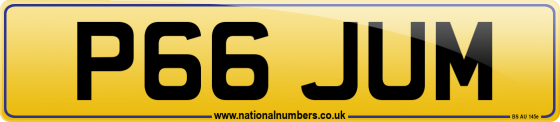 P66 JUM