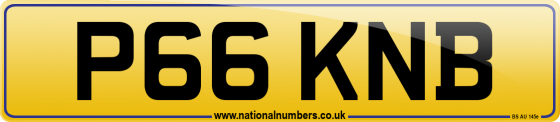 P66 KNB