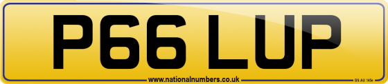 P66 LUP