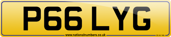 P66 LYG