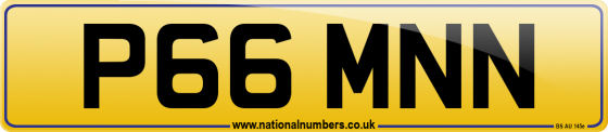 P66 MNN