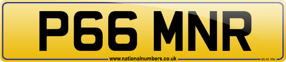 P66 MNR
