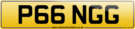 P66 NGG