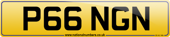 P66 NGN