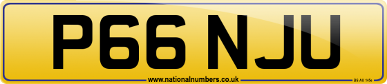 P66 NJU