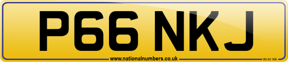 P66 NKJ