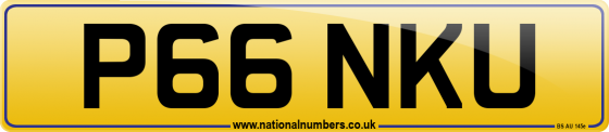 P66 NKU