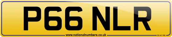 P66 NLR
