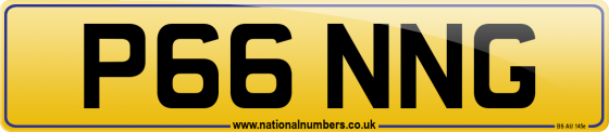 P66 NNG