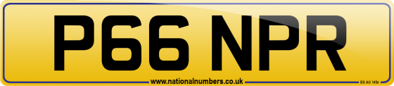 P66 NPR