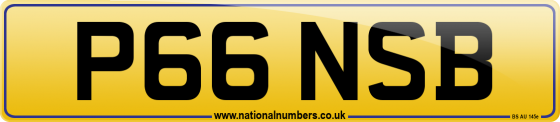 P66 NSB