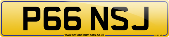 P66 NSJ