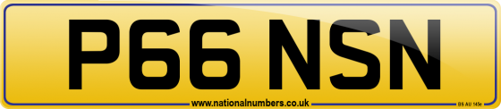 P66 NSN