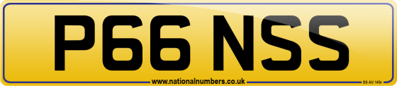 P66 NSS