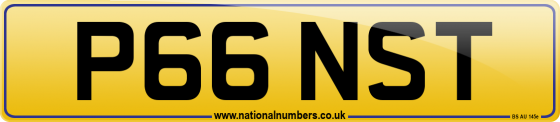 P66 NST