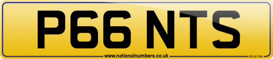 P66 NTS
