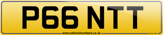 P66 NTT