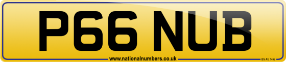 P66 NUB