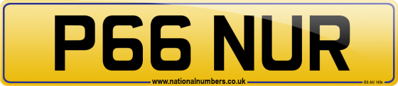 P66 NUR