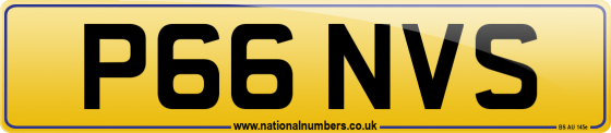 P66 NVS