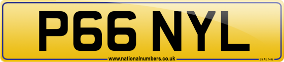 P66 NYL