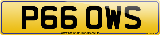 P66 OWS