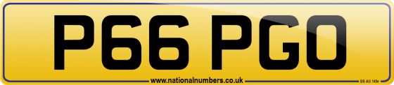 P66 PGO