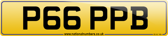 P66 PPB
