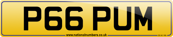 P66 PUM