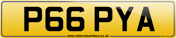 P66 PYA