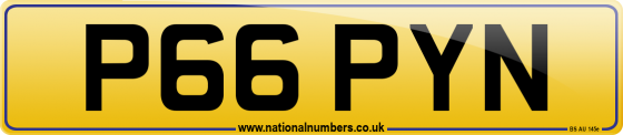 P66 PYN