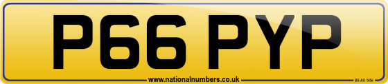 P66 PYP