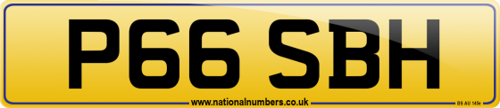 P66 SBH