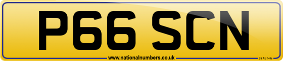 P66 SCN
