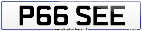 P66 SEE