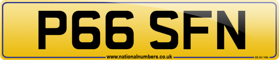P66 SFN
