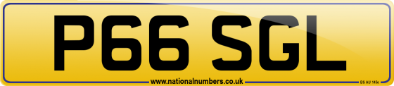 P66 SGL