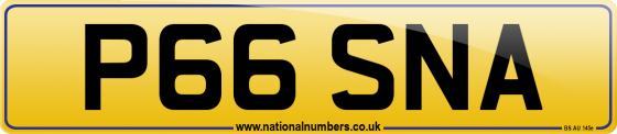 P66 SNA