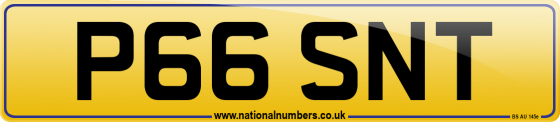 P66 SNT