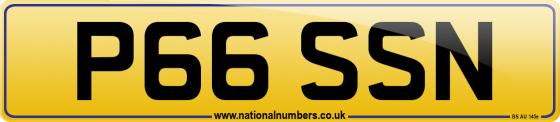 P66 SSN