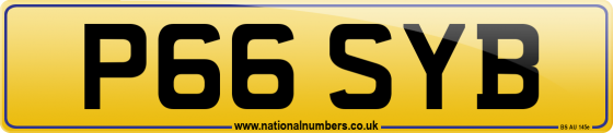 P66 SYB