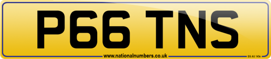 P66 TNS