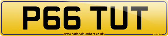 P66 TUT
