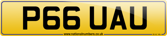 P66 UAU