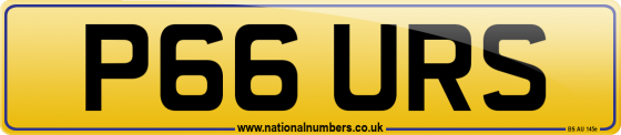 P66 URS