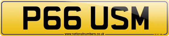 P66 USM