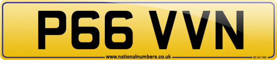 P66 VVN