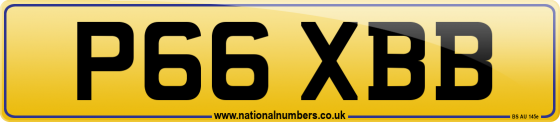 P66 XBB