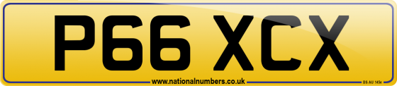 P66 XCX