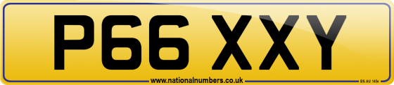 P66 XXY